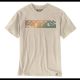 CARHARTT TSHIRTS VARIETY BOX-VERSION 1