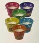 CITRANELLA CANDLE FLOWER 4.5 inchPOT